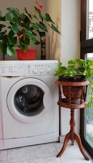 Appartement Visitar *